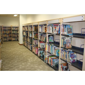 Library Shelf 3