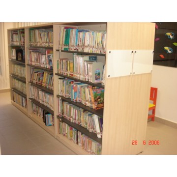 Library Shelf 4